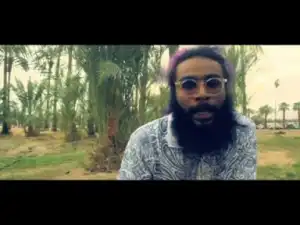 Video: Flatbush Zombies - Palm Trees